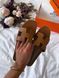 Жіночі бежеві шльопанці Hermes Oran Slippers Brown х Ермес 39 ALL12688 фото 9