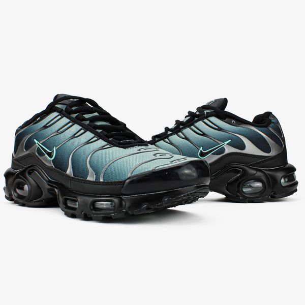 Сірі чоловічі кросівки Nike Air Max TN Plus Black Particle Grey Vapor Green х Ейр Макс ТН 41 ALL12156 фото