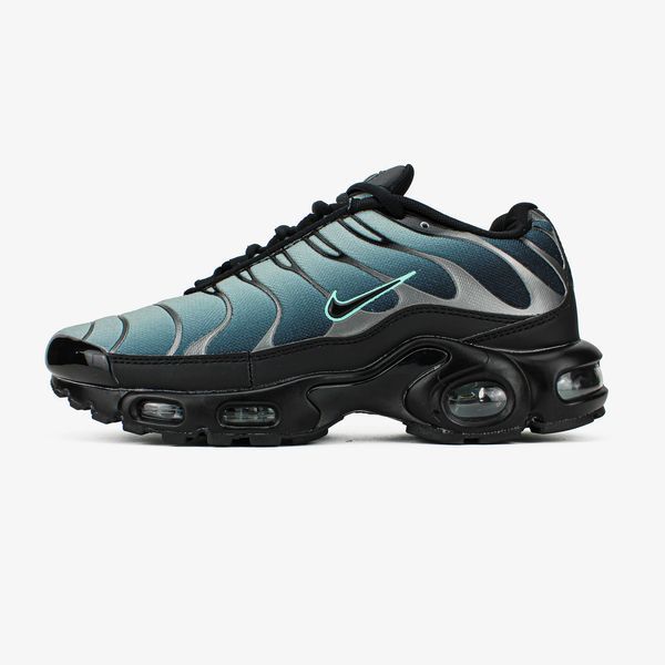 Сірі чоловічі кросівки Nike Air Max TN Plus Black Particle Grey Vapor Green х Ейр Макс ТН 41 ALL12156 фото