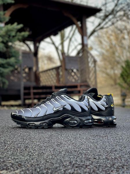 Чорно-білі кросівки унісекс Nike Air Max TN Black White х Ейр Макс ТН Плюс 36 ALL19675 фото