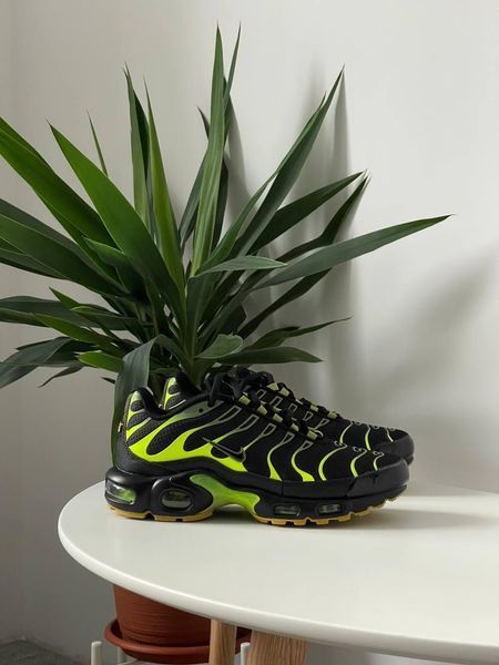 Чоловічі чорні кросівки Nike Air Max TN Plus Black Green х Ейр Макс ТН 43 ALL19529 фото