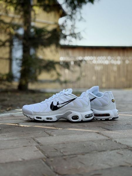 Чоловічі білі кросівки Nike Air Max TN Plus Black Grey Black х Ейр Макс ТН 42 ALL17702 фото