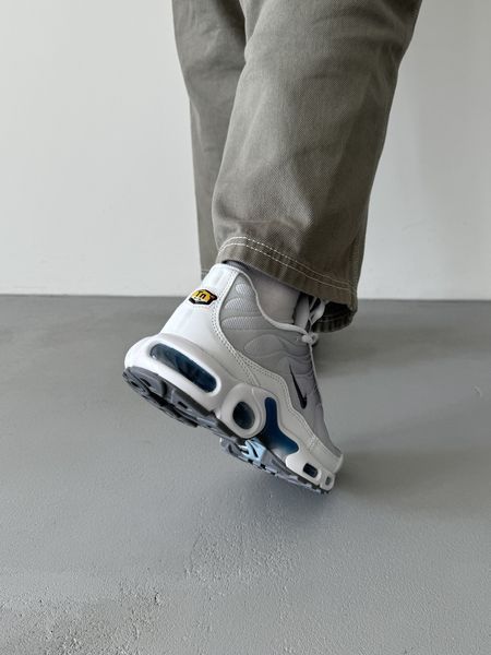Чоловічі білі кросівки Nike Air Max TN Grey White Blue х Ейр Макс ТН 40 ALL17498 фото