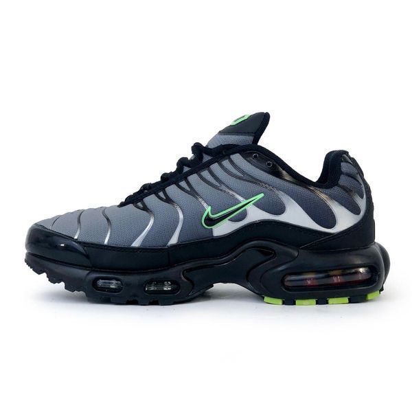 Сірі кросівки унісекс Nike Air Max Terrascape Tn Plus Grey Green х Ейр Макс ТН 36 ALL10744 фото
