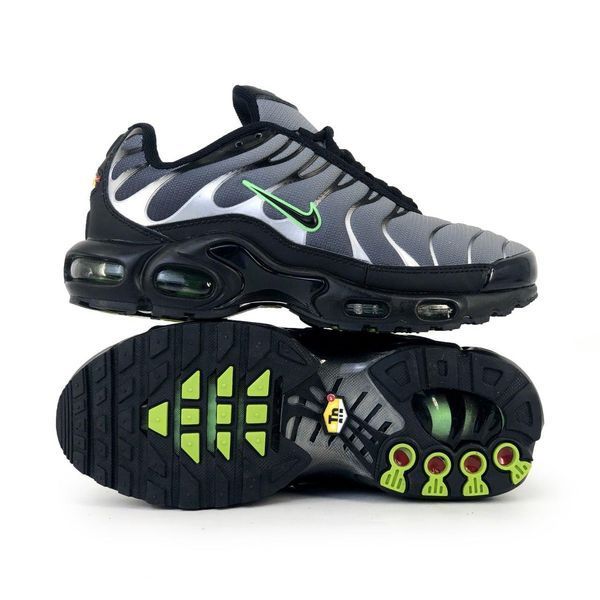 Сірі кросівки унісекс Nike Air Max Terrascape Tn Plus Grey Green х Ейр Макс ТН 36 ALL10744 фото