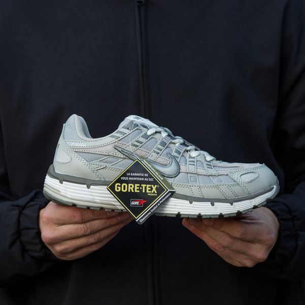 Чоловічі сірі кросівки Nike P-6000 Silver Grey Gore-Tex х Найк 41 ALL22666 фото