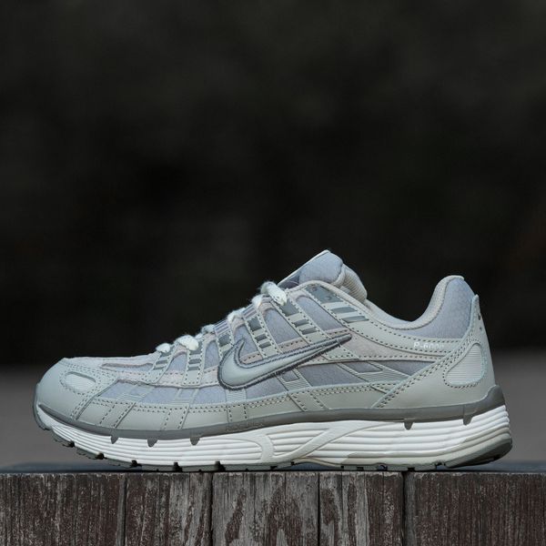 Чоловічі сірі кросівки Nike P-6000 Silver Grey Gore-Tex х Найк 42 ALL22666 фото