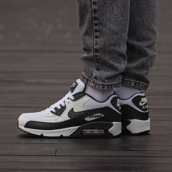 Чоловічі білі кросівки Nike Air Max 90 White Black х Ейр Макс 41 ALL21093 фото