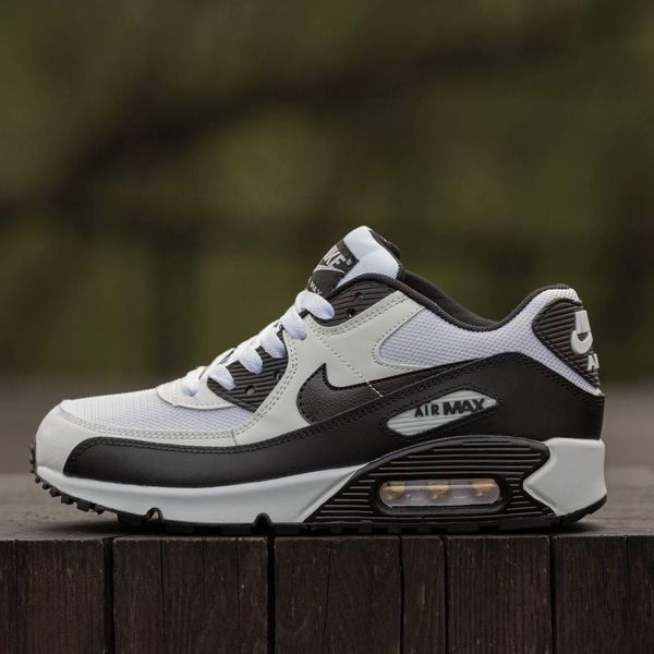 Чоловічі білі кросівки Nike Air Max 90 White Black х Ейр Макс 41 ALL21093 фото