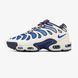 Чоловічі білі кросівки Nike Air Max Drift Chilly Gradient Concord х Ейр Макс ТН 41 ALL18051 фото 2