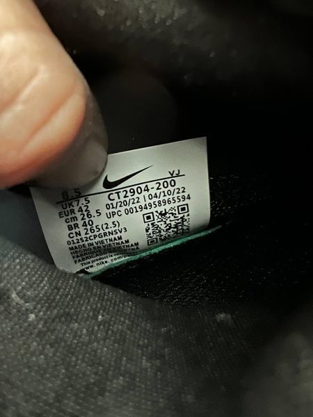 Чоловічі бежеві кросівки Nike ACG Mountain Fly High Gore-Tex Beige Black х Маунтейн Флай 40 ALL10007 фото