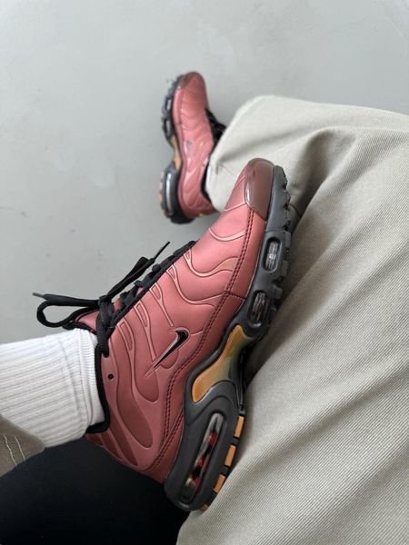Чоловічі бордові кросівки Nike Air Max TN Plus Bordo х Ейр Макс ТН 40 ALL17747 фото