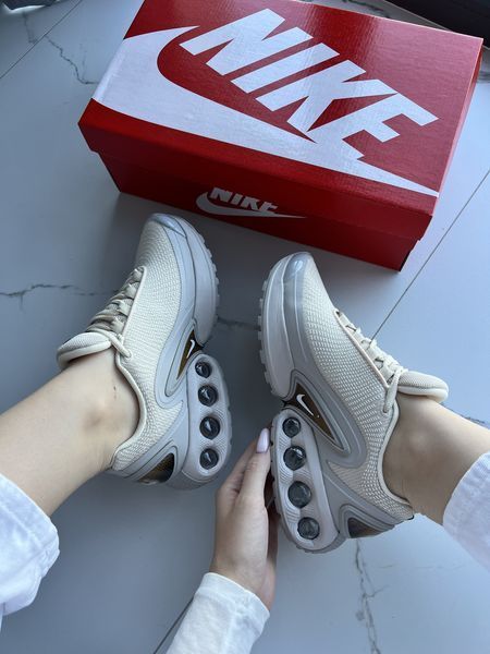 Жіночі сірі кросівки Nike Air Max DN Beige Grey Brown х Ейр Макс 36 ALL20461 фото