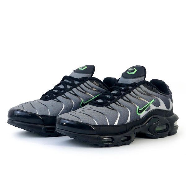 Сірі кросівки унісекс Nike Air Max Terrascape Tn Plus Grey Green х Ейр Макс ТН 39 ALL10744 фото