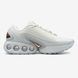 Жіночі сірі кросівки Nike Air Max DN Beige Grey Brown х Ейр Макс 36 ALL20461 фото 1