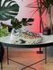 Сірі кросівки унісекс Nike Air Max Plus Drift Light Smoke Grey Multicolor х Ейр Макс ТН 41 ALL16652 фото 6