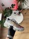Сірі кросівки унісекс Nike Air Max Plus Drift Light Smoke Grey Multicolor х Ейр Макс ТН 41 ALL16652 фото 1
